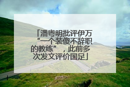 潘粤明批评伊万“一个装傻不辞职的教练”，此前多次发文评价国足
